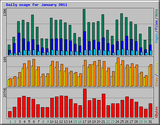 Daily usage for January 2011