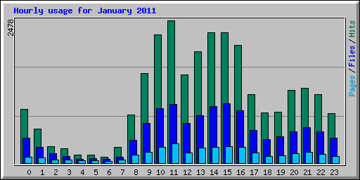 Hourly usage for January 2011