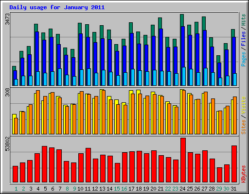 Daily usage for January 2011