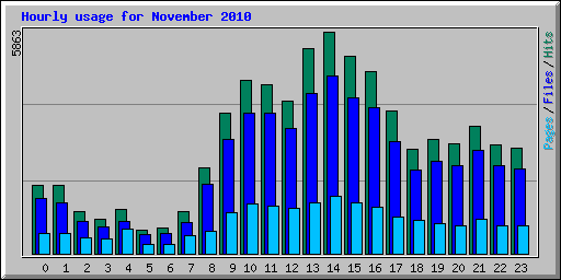 Hourly usage for November 2010