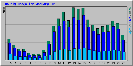 Hourly usage for January 2011