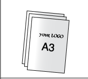 ����� A3