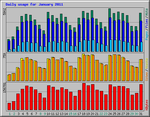Daily usage for January 2011