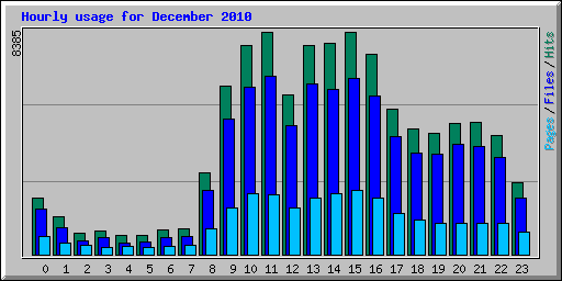 Hourly usage for December 2010